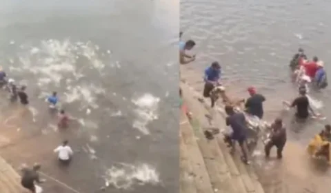 Incrível! centenas de jaraquis invadem redes de pesca no AM; veja vídeo