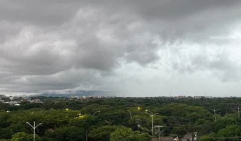 Saiba como proteger eletrodomésticos de danos elétricos