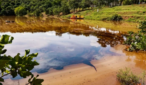 Empresa responsável por derramamento de óleo em lago em Palmas emite nota sobre plano de ação