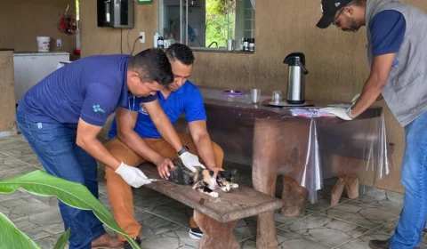 Semus retoma vacinação antirrábica na zona rural de Palmas