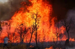 MPF denuncia duas pessoas por incêndio em área de preservação ambiental do Cerrado