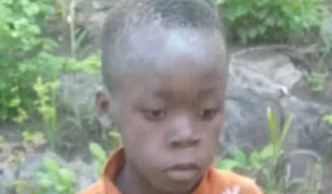 Milagre na Selva: menino sobrevive 5 dias em Parque repleto de animais selvagens