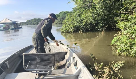 Período da Piracema termina nesta terça-feira (28)