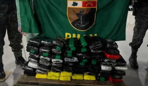 Drogas avaliadas em R$ 5 milhões são apreendidas em barco no porto de Manaus; veja vídeo da ação