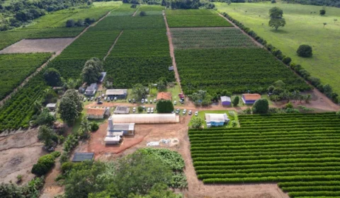Rota Turística do Café: conheça os atrativos que fazem Rondônia ser um destino imperdível
