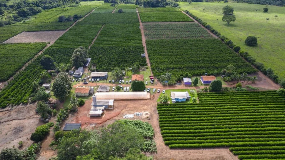 Rota Turística do Café: conheça os atrativos que fazem Rondônia ser um destino imperdível