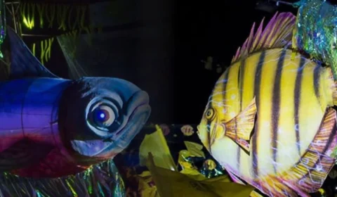 Como ir de Manaus até Barcelos (AM)? Veja valores e opções