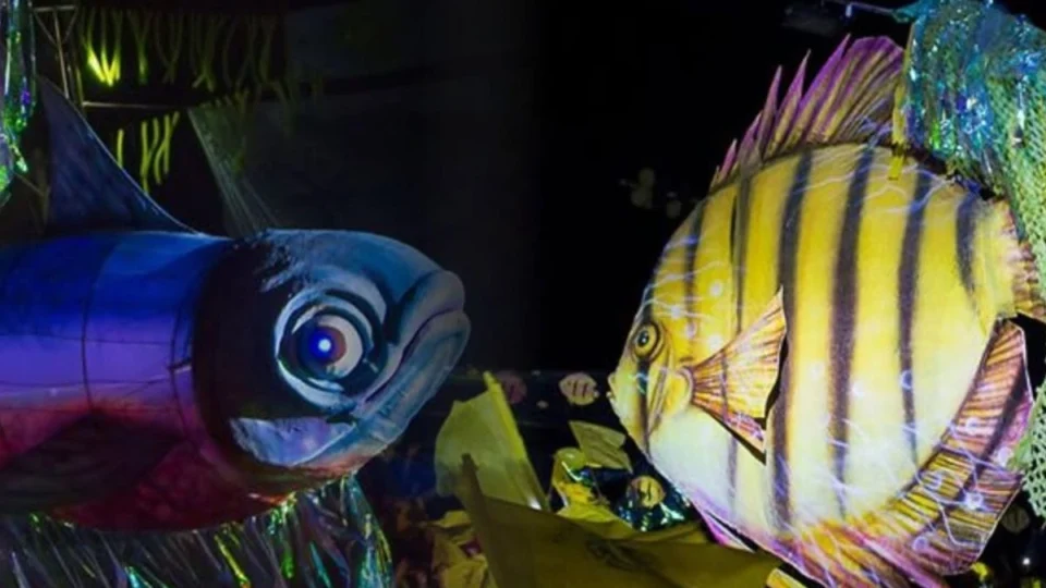 Como ir de Manaus até Barcelos (AM)? Veja valores e opções