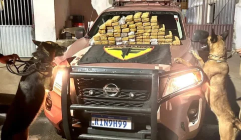 Mulher é presa com 70kg de drogas em Gurupi