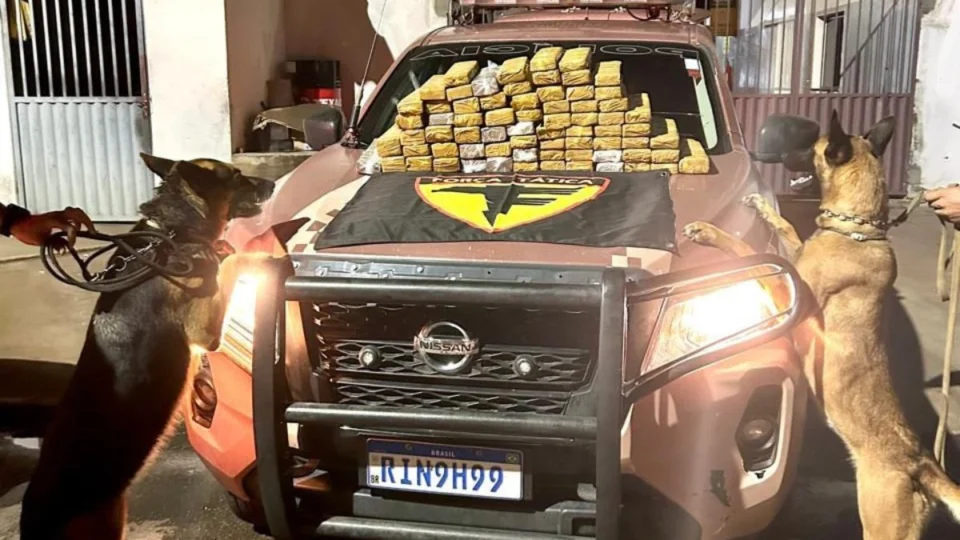 Mulher é presa com 70kg de drogas em Gurupi