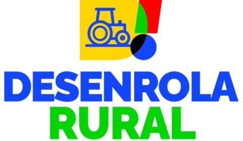 Programa Desenrola Rural: veja como renegociar dívidas com descontos
