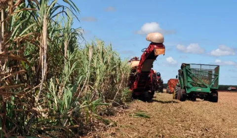 Plano Safra: governo anuncia investimentos na infraestrutura de portos, rodovias e ferrovias
