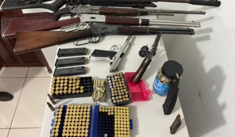 Polícia Civil apreende armas e mais de 600 munições em residência de homem que ameaçava vizinhos no sul do TO