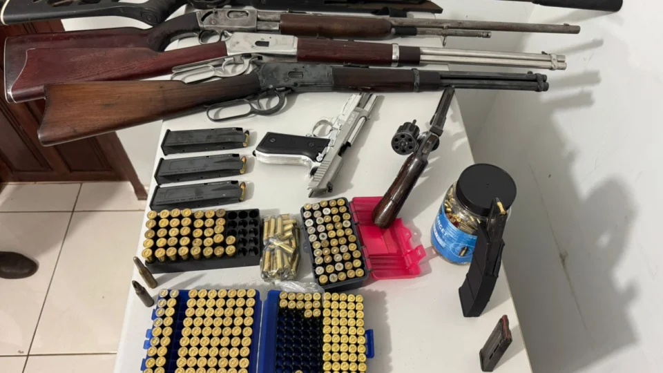 Polícia Civil apreende armas e mais de 600 munições em residência de homem que ameaçava vizinhos no sul do TO