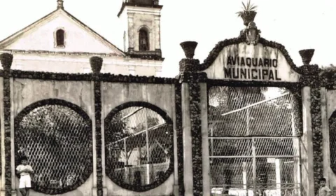 Aviaquário Municipal no Centro de Manaus: conheça local que reunia animais da Amazônia no meio da cidade