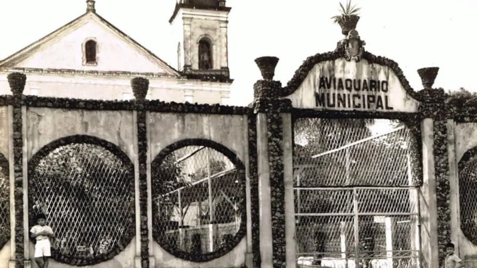Aviaquário Municipal no Centro de Manaus: conheça local que reunia animais da Amazônia no meio da cidade