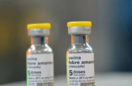 Saúde alerta para aumento de casos de febre amarela em quatro estados; saiba quais