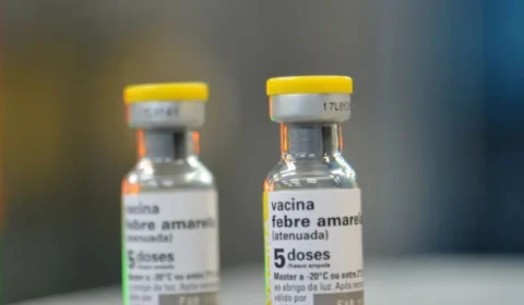 Saúde alerta para aumento de casos de febre amarela em quatro estados; saiba quais