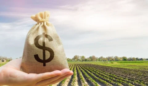 Haddad defende ‘Planos Safras robustos’ como solução para alto preço de alimentos; veja