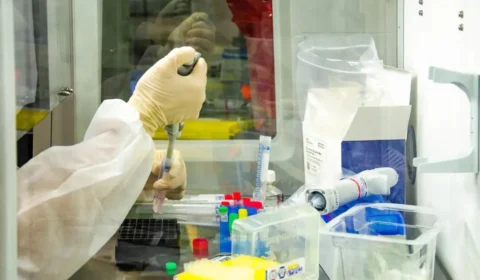 Medicina e tecnologia: Conheça a empresa que promete usar IA na criação de novos remédios