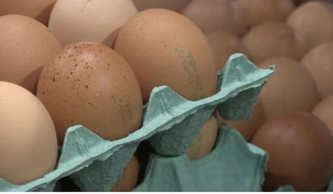 Agricultura revoga exigência de data de validade em cascas de ovos; veja o que falavam da medida