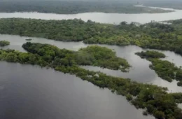 Petrobras recebe sinal verde do Ibama para explorar petróleo na Foz do Amazonas