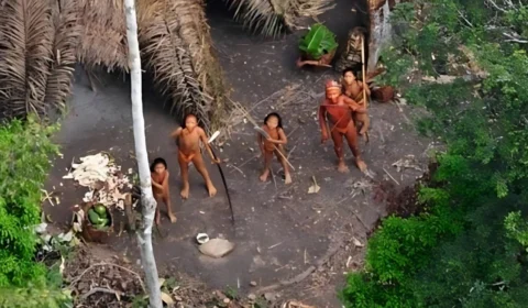 Terra Indígena Mamoriá Grande abriga povos isolados no Amazonas