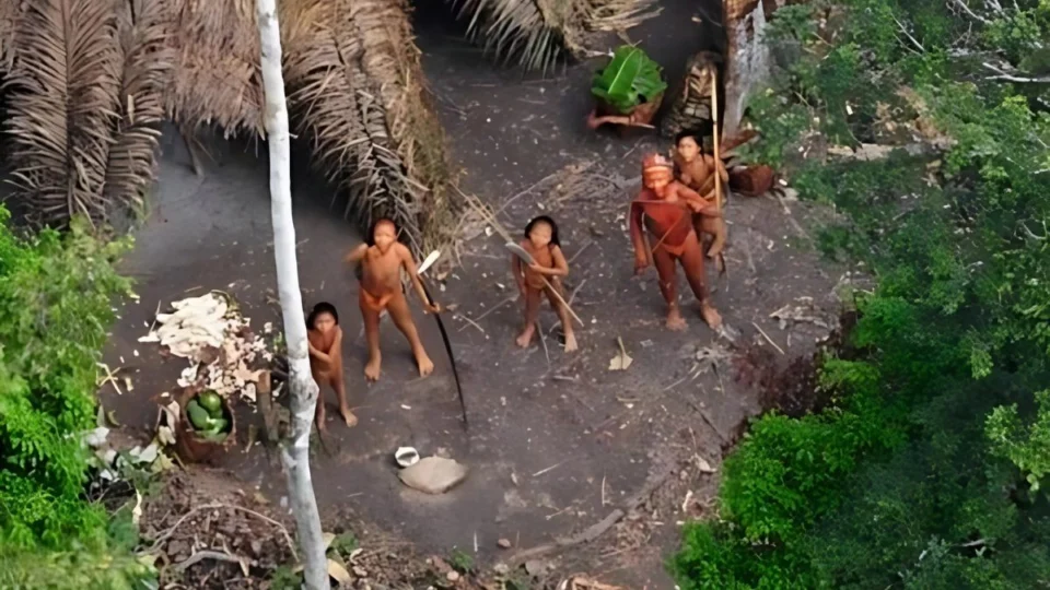 Terra Indígena Mamoriá Grande abriga povos isolados no Amazonas