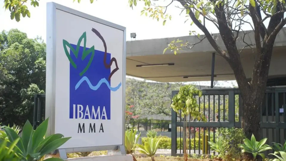 Ibama inicia processo seletivo para três especialidades; saiba salário e vagas