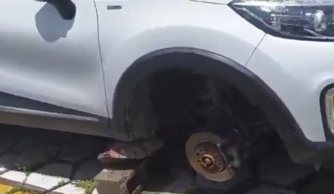 VÍDEO: Mulher tem pneu furtado em estacionamento de hospital em Manaus