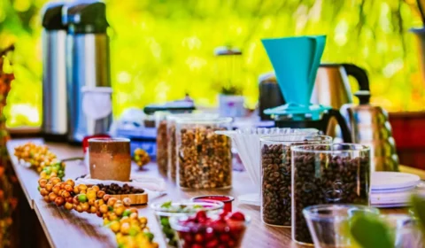 Rondônia bate recorde de exportação de café e se torna um dos maiores do Brasil, veja vídeo