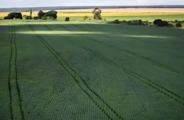 Inscrições para o Programa de Aquisição de Alimentos 2025/2026 estão abertas