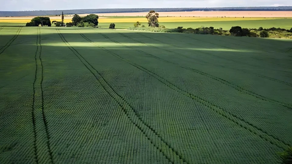 Inscrições para o Programa de Aquisição de Alimentos 2025/2026 estão abertas