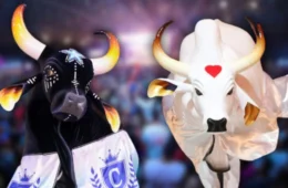 Carnaboi 2025 tem data e local confirmados; confira todos os detalhes