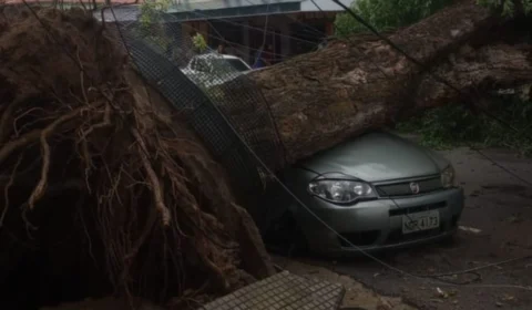 Chuva causa alagações, queda de árvore e riscos de desabamentos nesta sexta (7) em Manaus