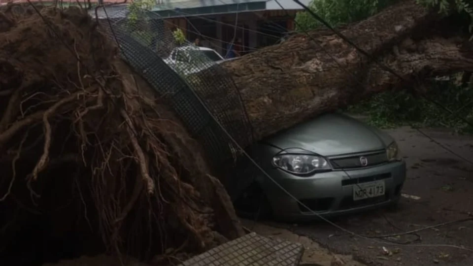 Chuva causa alagações, queda de árvore e riscos de desabamentos nesta sexta (7) em Manaus