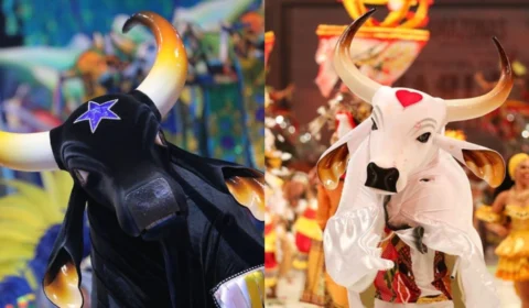 De Parintins para a Sapucaí: conheça 5 artistas que brilham no ‘Carnaval do Rio 2025’