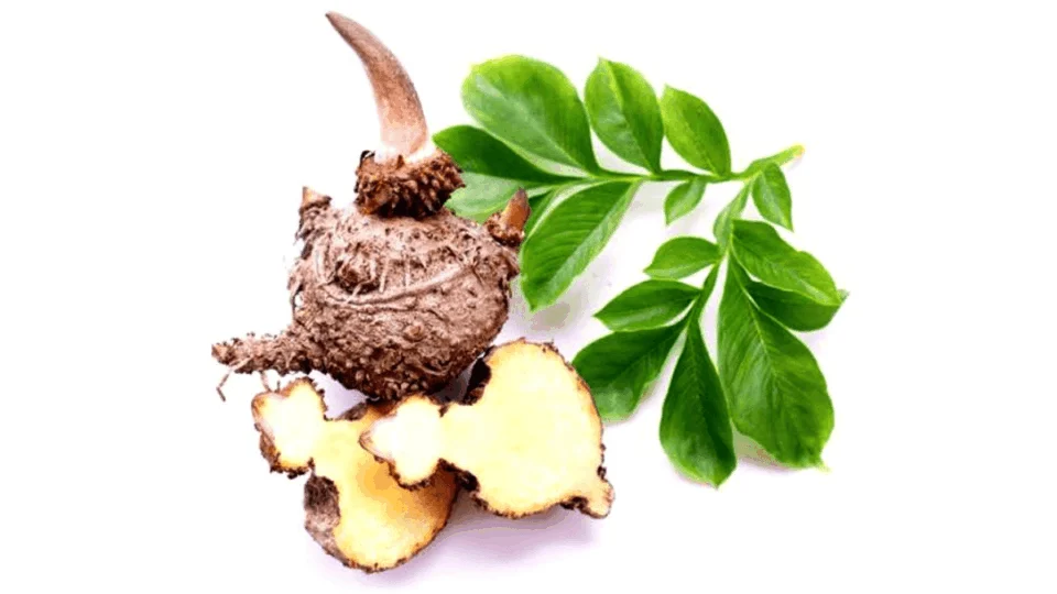 Glucomano é Ozempic natural? Conheça ingrediente natural que ajuda a perder peso