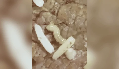 Funcionária denuncia larva na comida de hospital estadual em Roraima