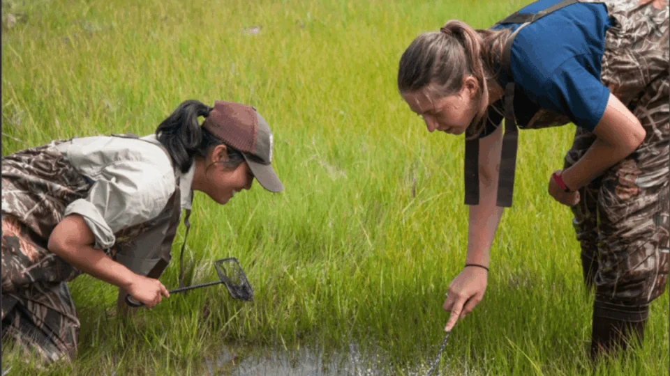 Dia do Agente de Defesa Ambiental: frases para homenagear esses profissionais
