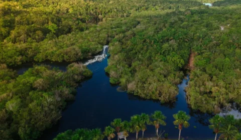 Montanha na Amazônia desvenda ‘imagem oculta’ em uma das cidades mais indígenas do Brasil; veja
