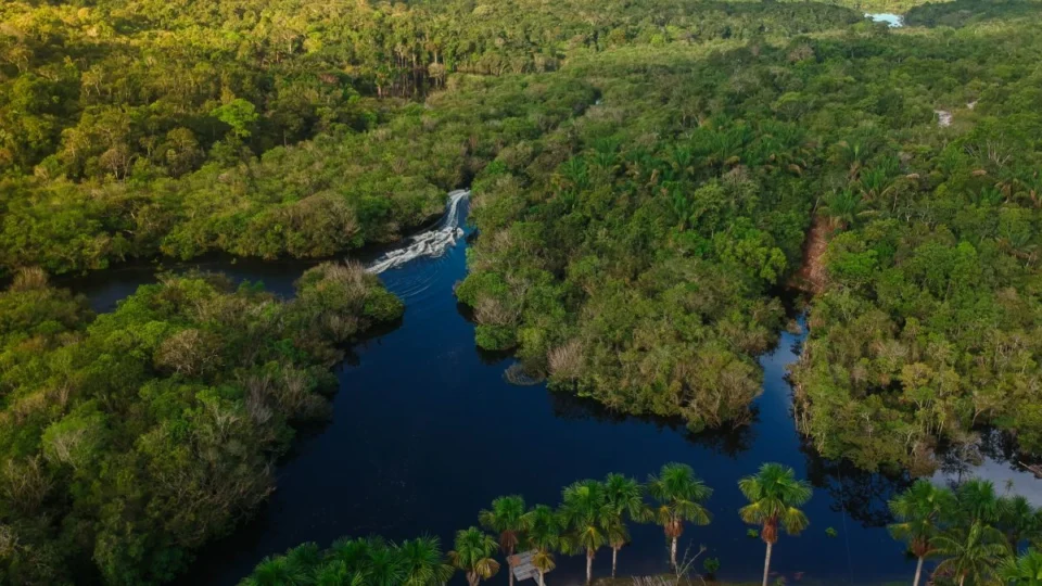Montanha na Amazônia desvenda ‘imagem oculta’ em uma das cidades mais indígenas do Brasil; veja