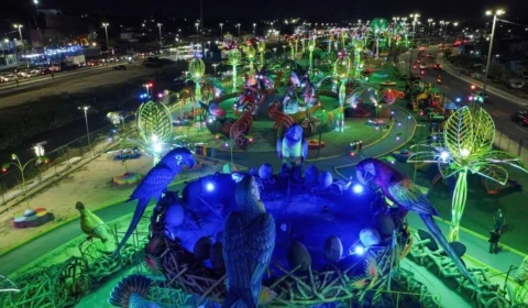 Parque de Manaus leva os gigantes da natureza para a cidade e encanta a população