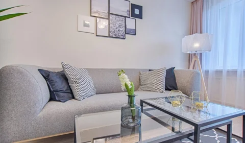 Veja dicas para decoração de sala simples e elegante 