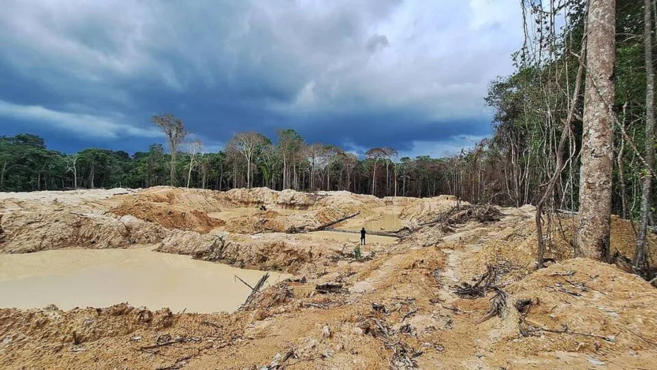 Terra Indígena Sete de Setembro, em Rondônia, já perdeu área equivalente a 109 campos de futebol para o garimpo