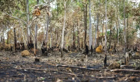 Medida Provisória abre crédito para emergências climáticas na Amazônia; saiba qual o valor
