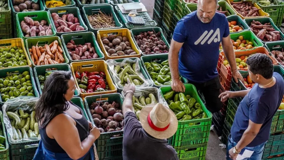 Do clima ao prato: instabilidade climática afeta produção agrícola, piscicultura e preços dos alimentos