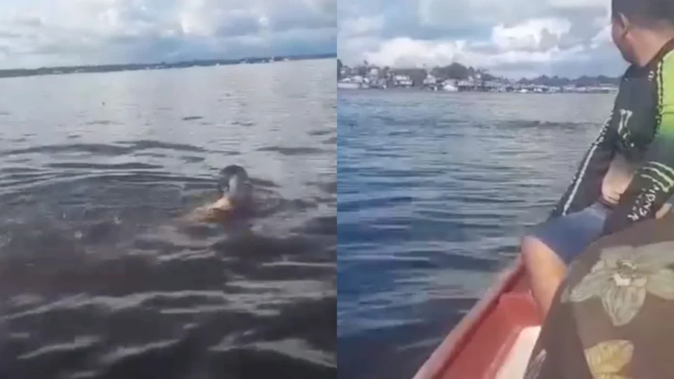 VÍDEO: Mulher tenta atravessar Rio Solimões a nado e cena viraliza nas redes sociais