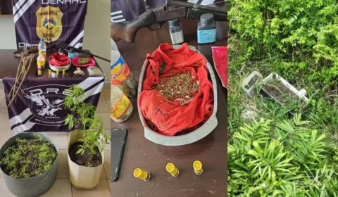 Agricultor é preso com 90 mudas e 200 sementes de maconha em Roraima