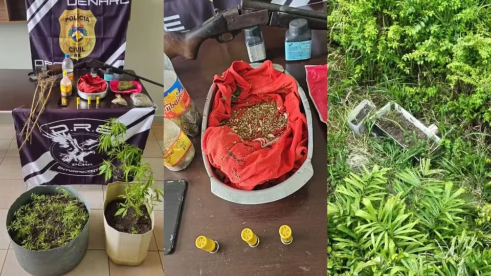 Agricultor é preso com 90 mudas e 200 sementes de maconha em Roraima